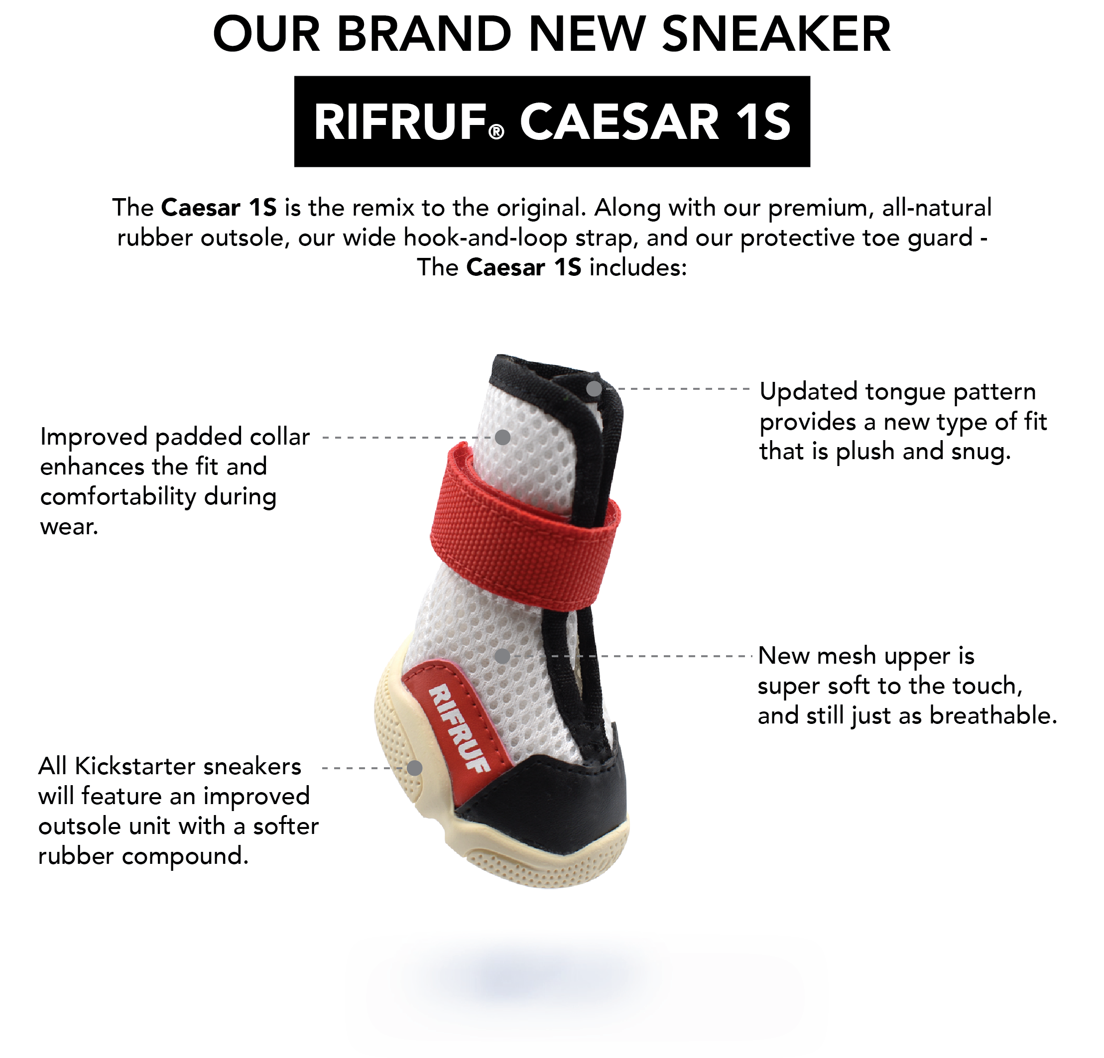 Introducing the Caesar 1S Dog Sneaker – RIFRUF