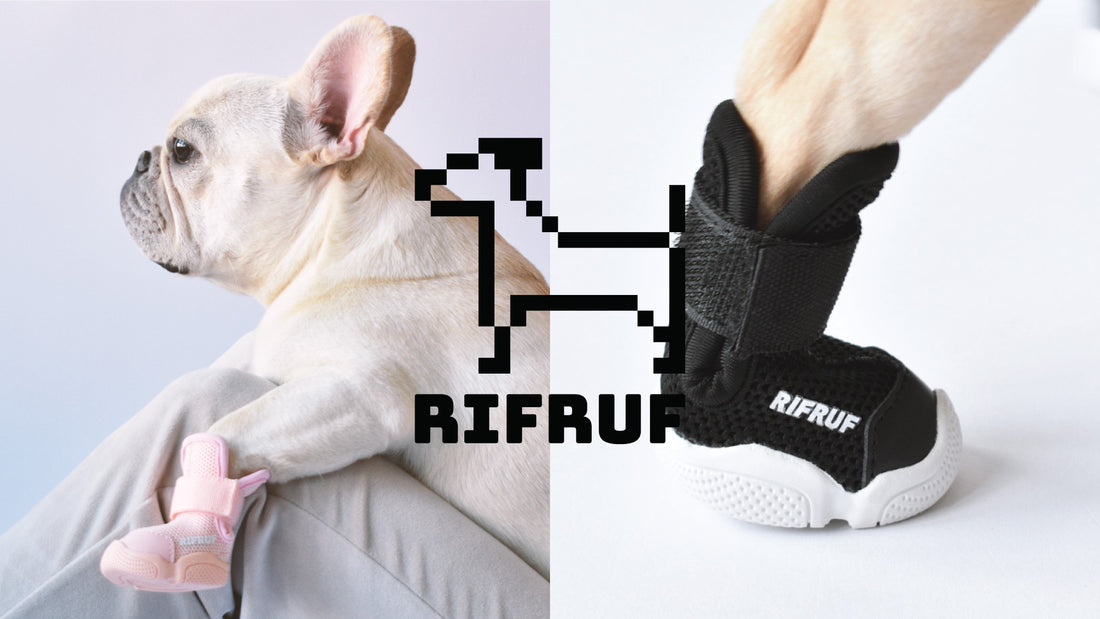 Best dog boots