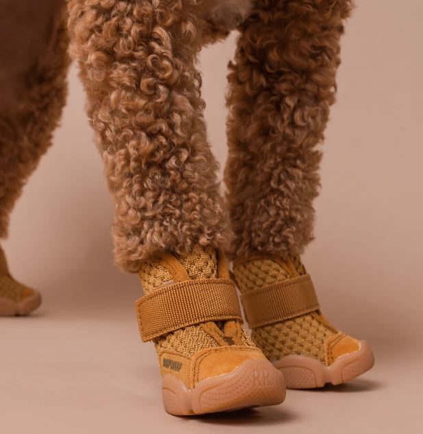 The 5 Best Dog Boots of 2023 for Hot Pavement, Snow, and Rain
