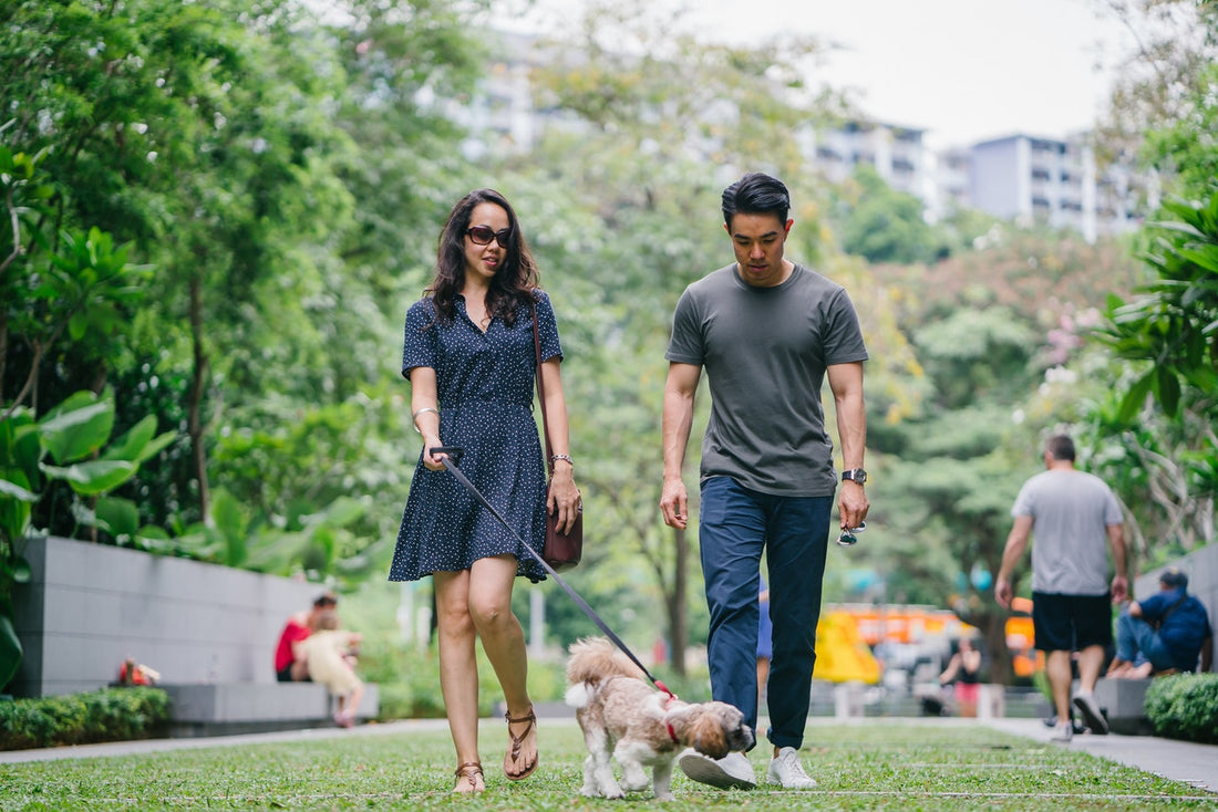 A couple with their dog at a dog park