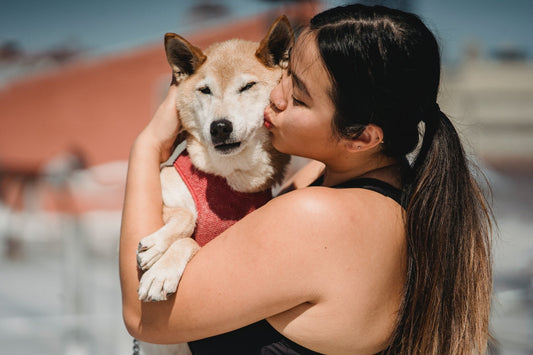 Cheerful woman kissing adorable Shiba inu 