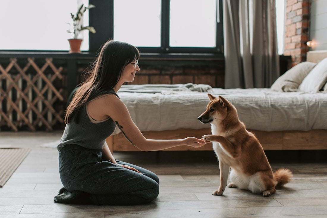 woman holding the paw of a dog