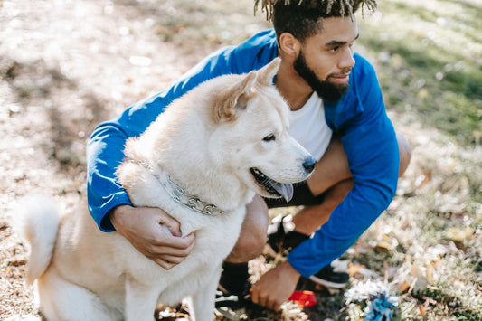 A dog hanging out with his dog in the park
