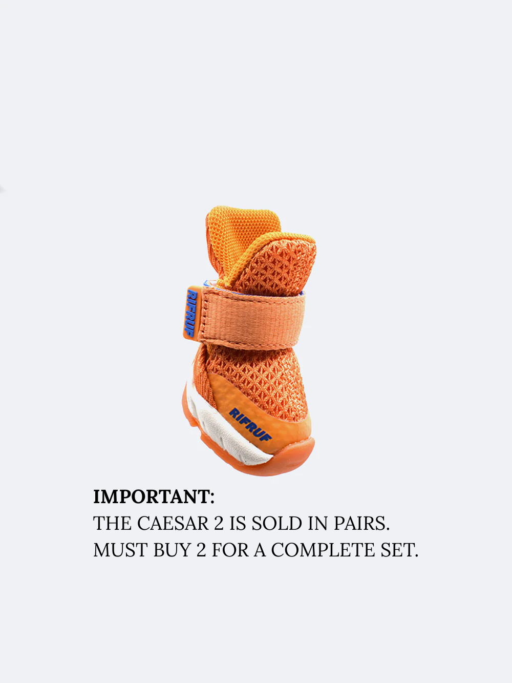 RIFRUF | Caesar 1 Dog Sneakers