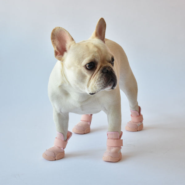 Pink dog shoes