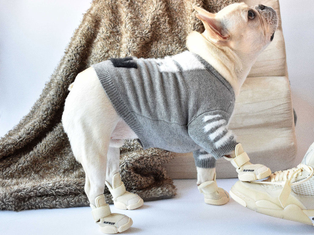 The Humanization Of Dogs – RIFRUF