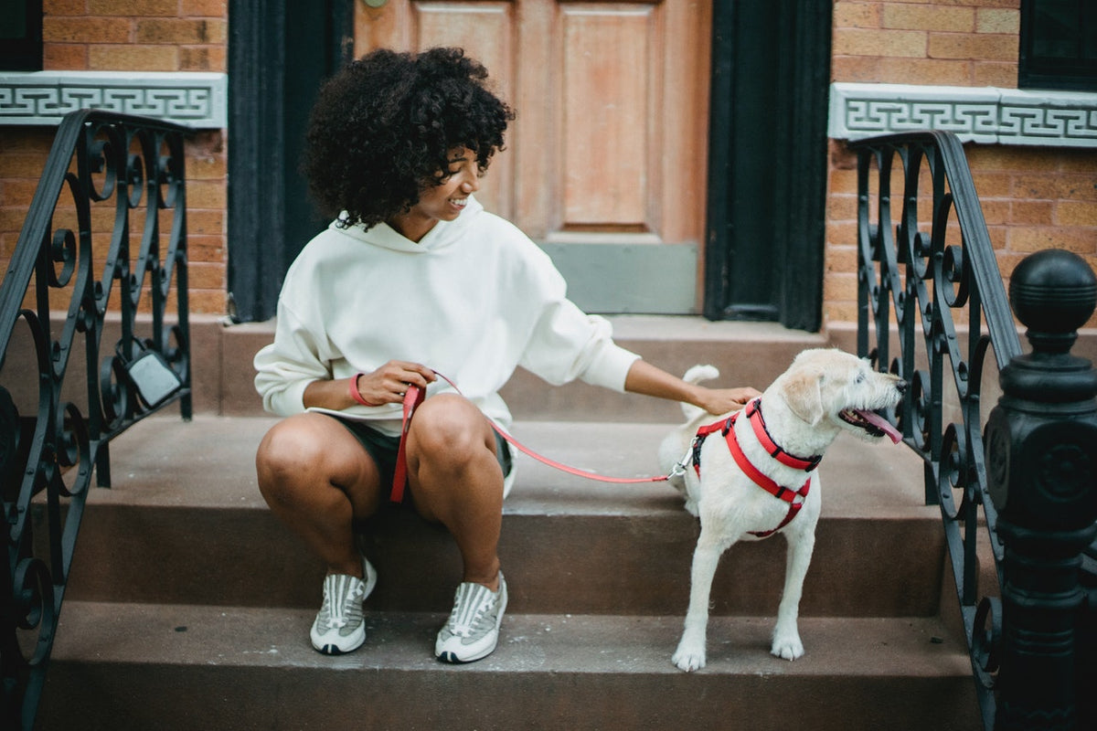 Happy woman caressing dog on stairs 