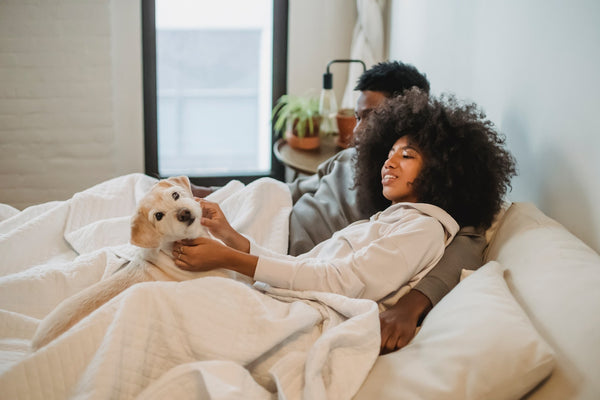 a couple laying down in bed with a dog 