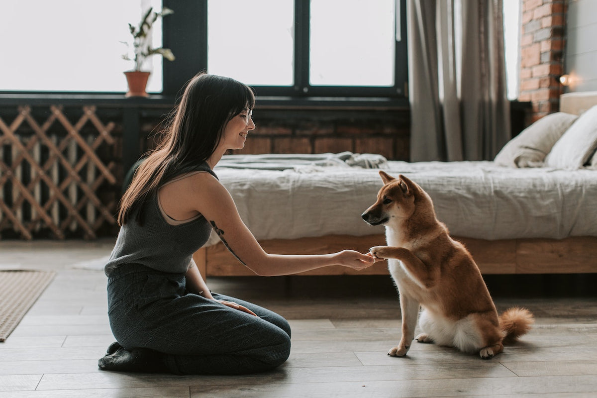 woman holding the paw of a dog