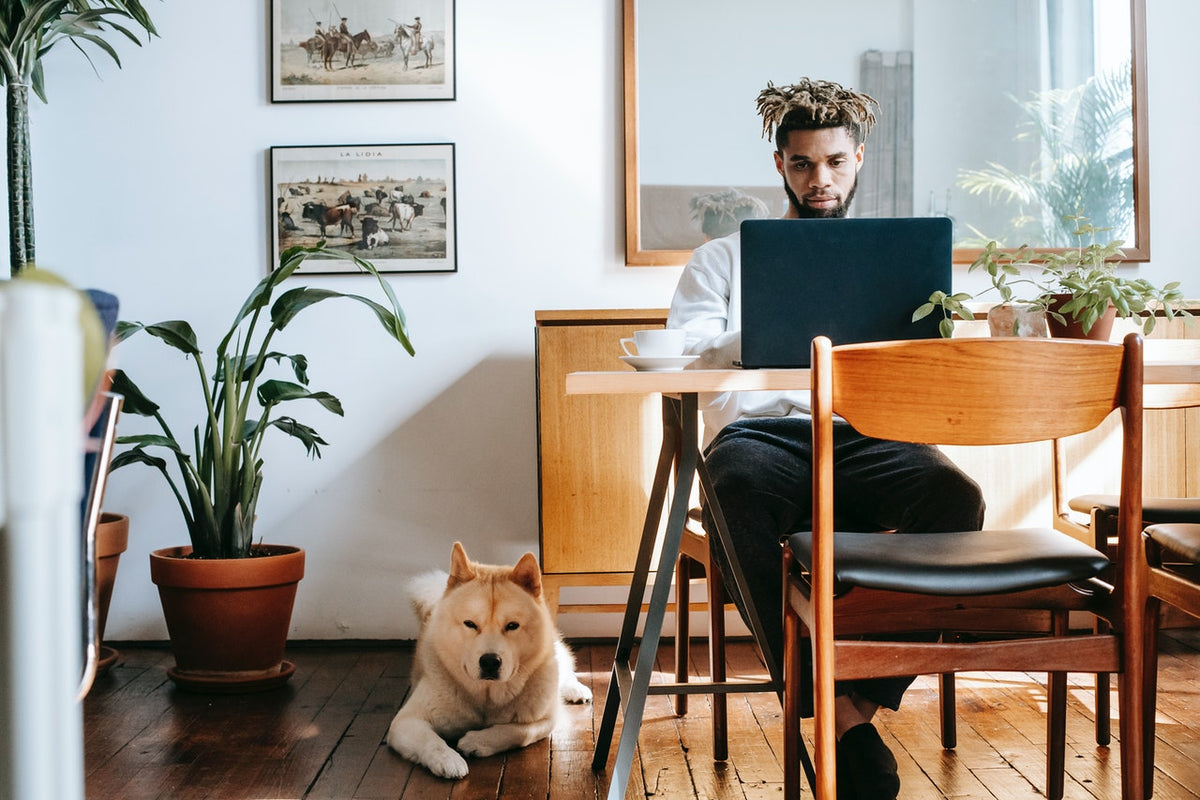 Pensive black man using laptop while Akita Inu resting on floor 