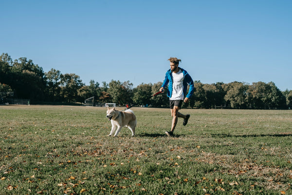 Running With Your Dogs: A Complete Guide
