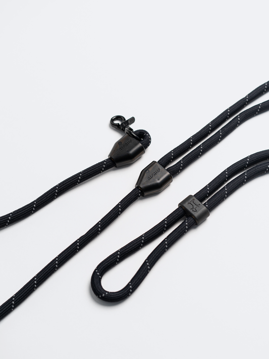 Commuter Leash (Prior to Nav)