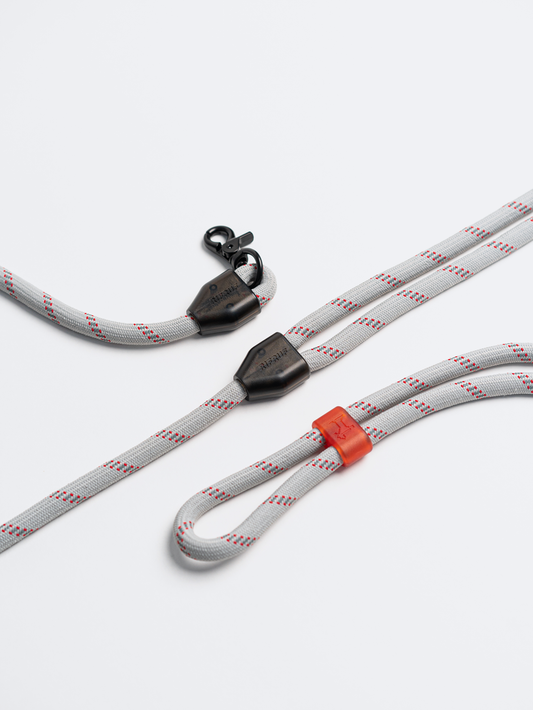Commuter Leash (Prior to Nav)