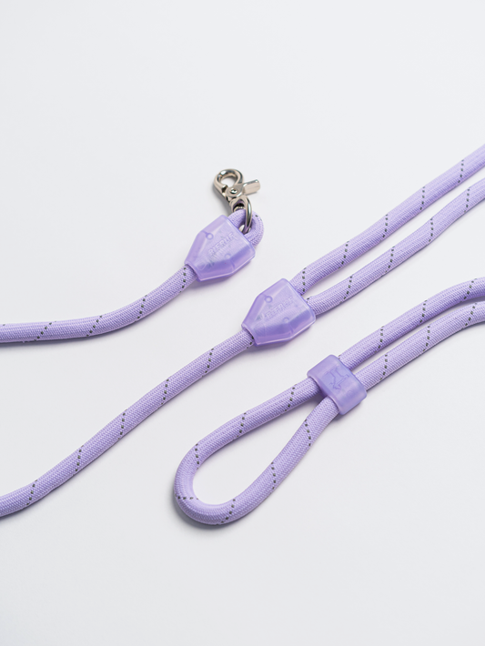 Commuter Leash (Prior to Nav)