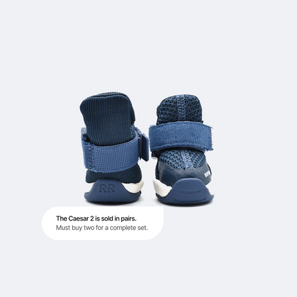 RIFRUF | Caesar 1 Dog Sneakers