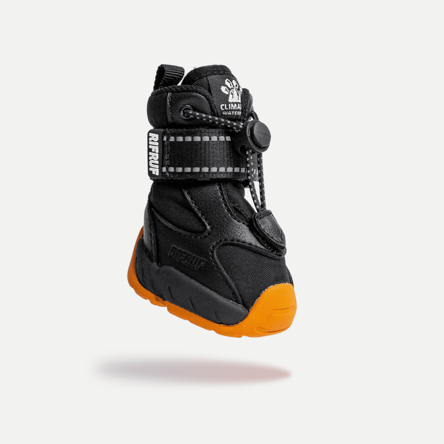 New Apollo 1