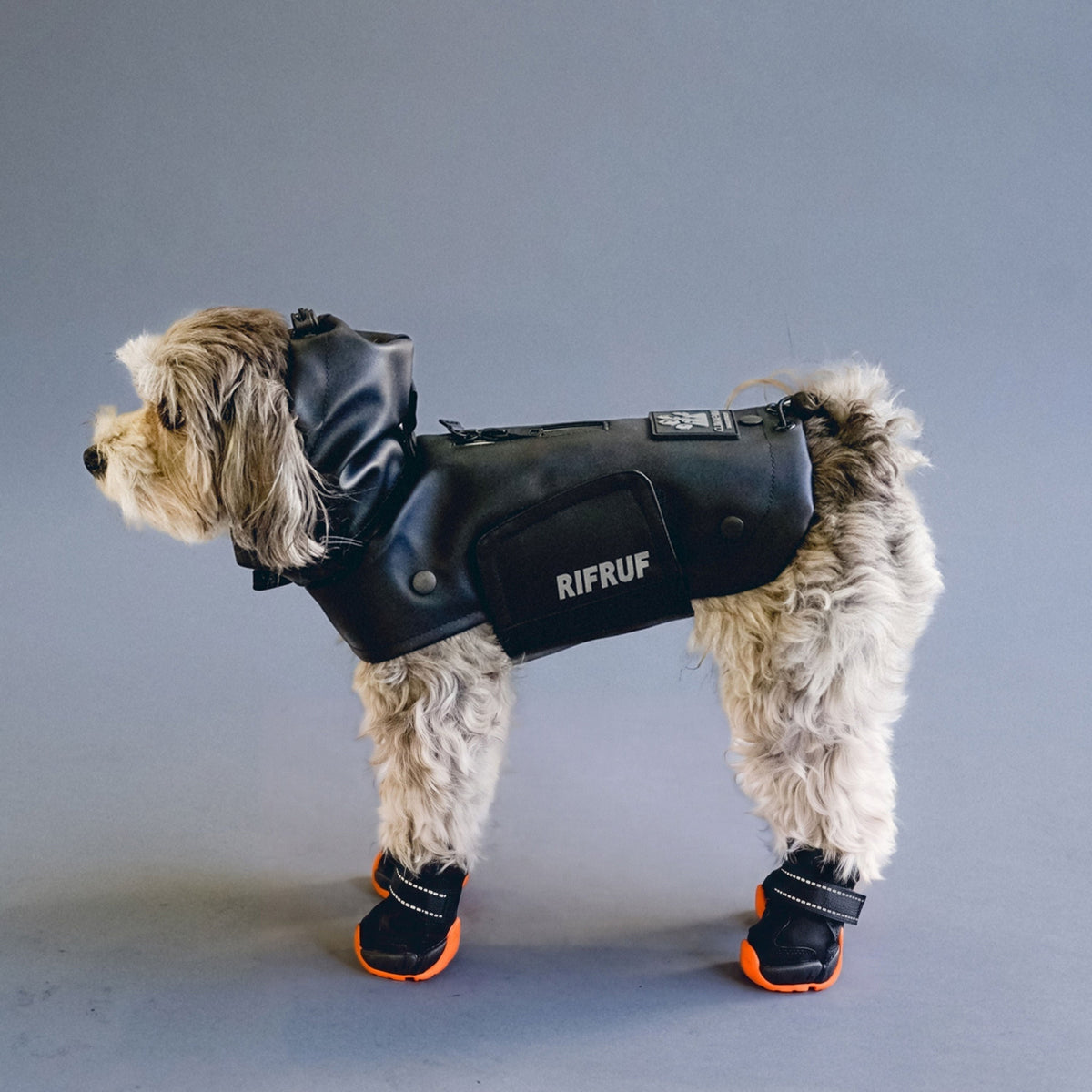 Dog wearing the Truffle Stormhunter Raincoat and Truffle Apollo 1 boots