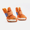 Apricot