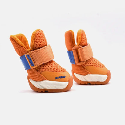 Apricot