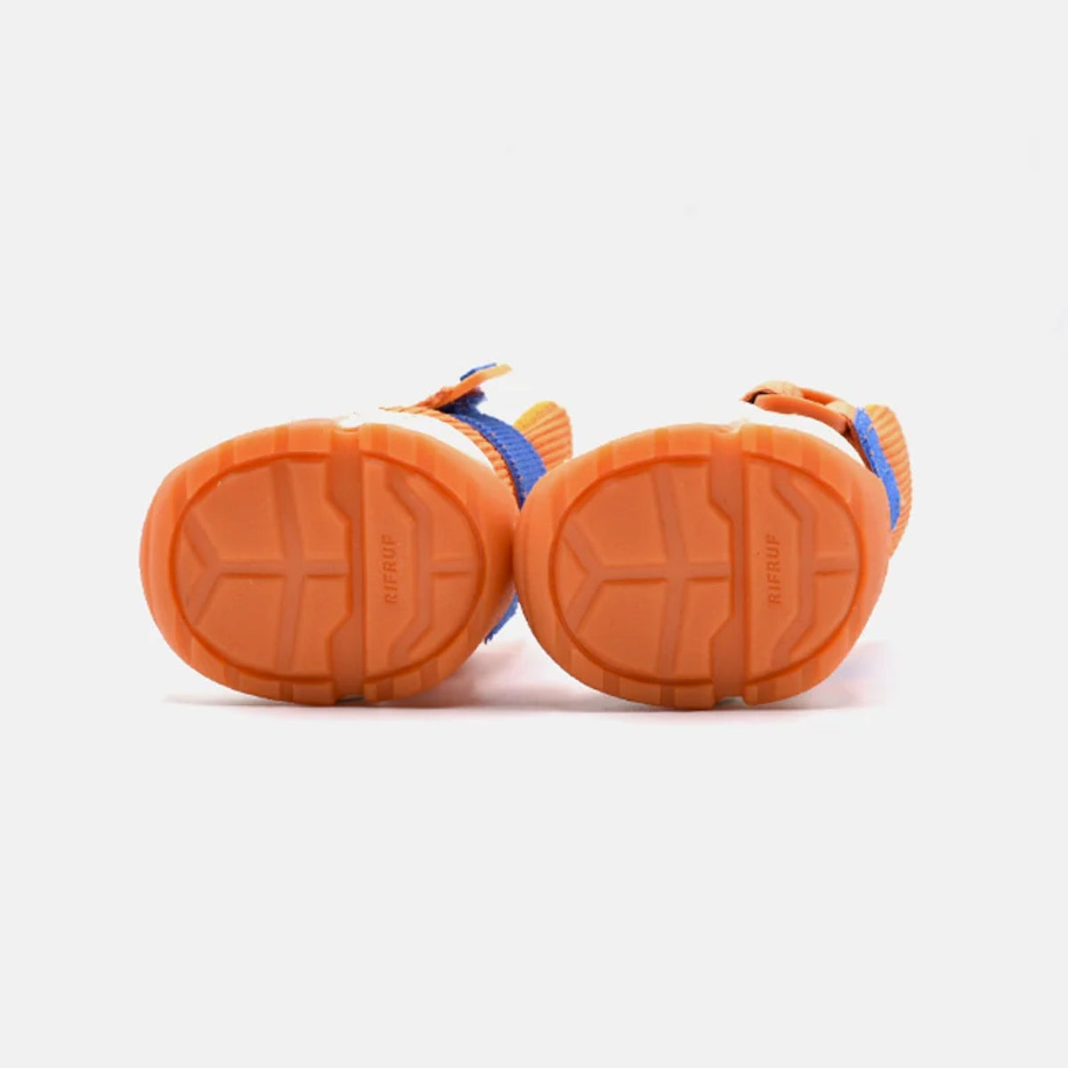 Apricot