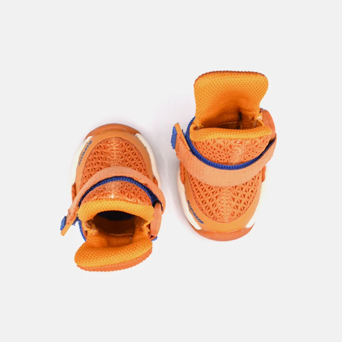 Apricot
