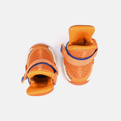 Apricot