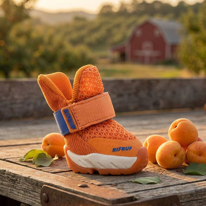 Apricot