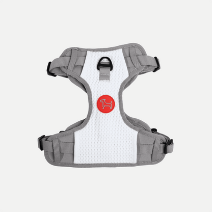 New Commuter Harness