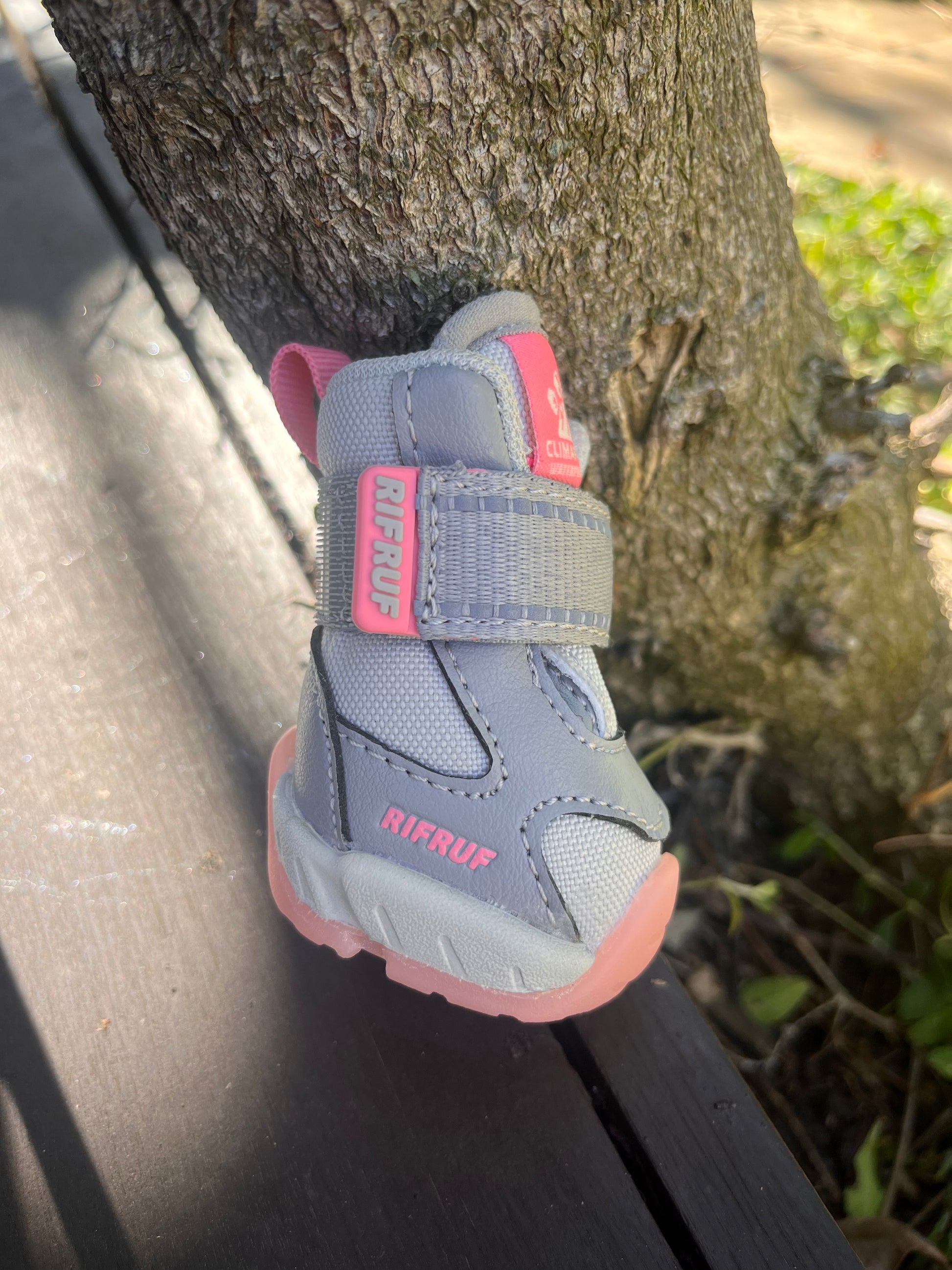 RIFRUF ラズベリー ドッグシューズ 箱入り RIFRUF | Dog Sneakers RIFRUF ラズベリー ドッグシューズ 箱入り RIFRUF | Dog Sneakers