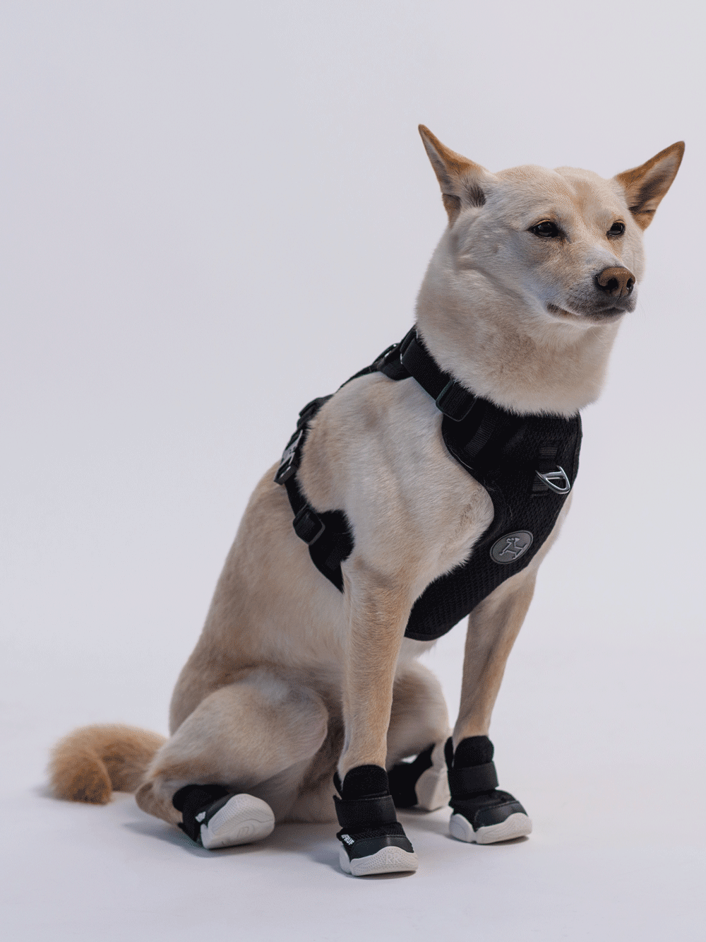 RIFRUF | Caesar 1 Dog Sneakers RIFRUF | Caesar 1 Dog Sneakers