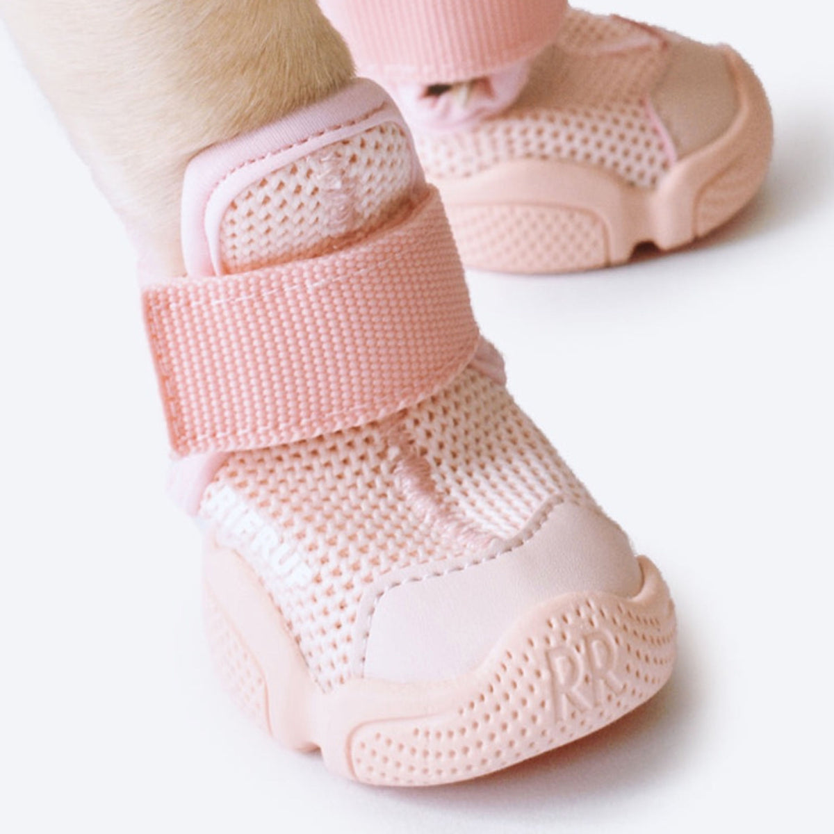 Blush