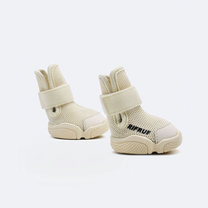 New Caesar 1