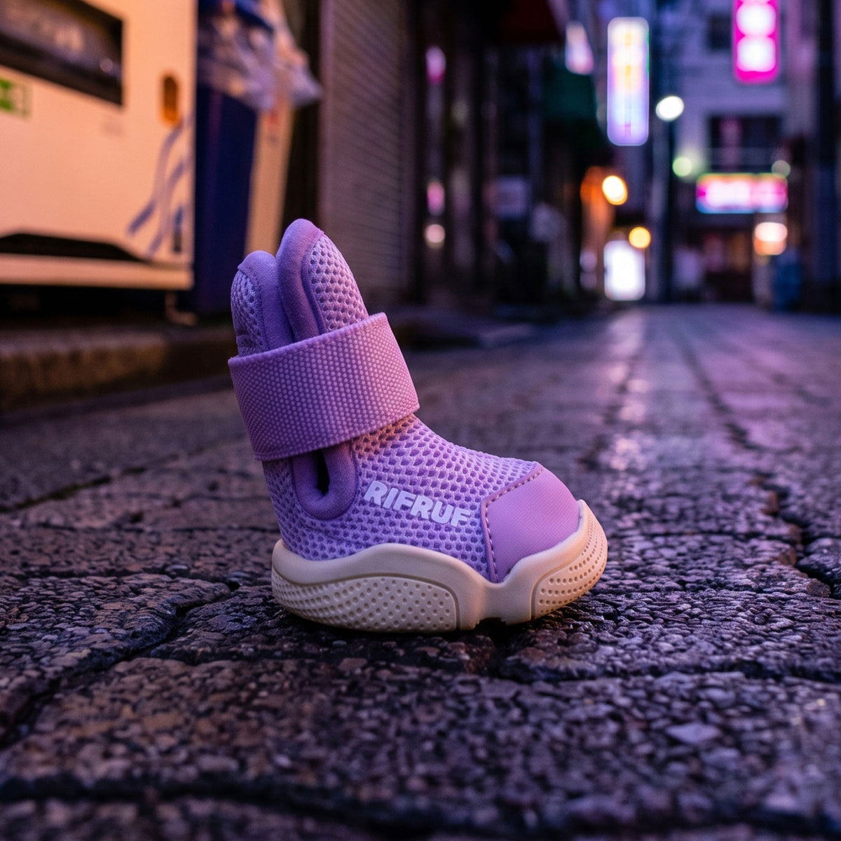 Taro