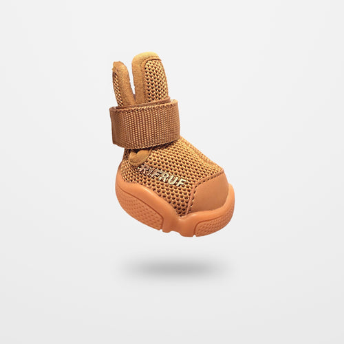 Wheat