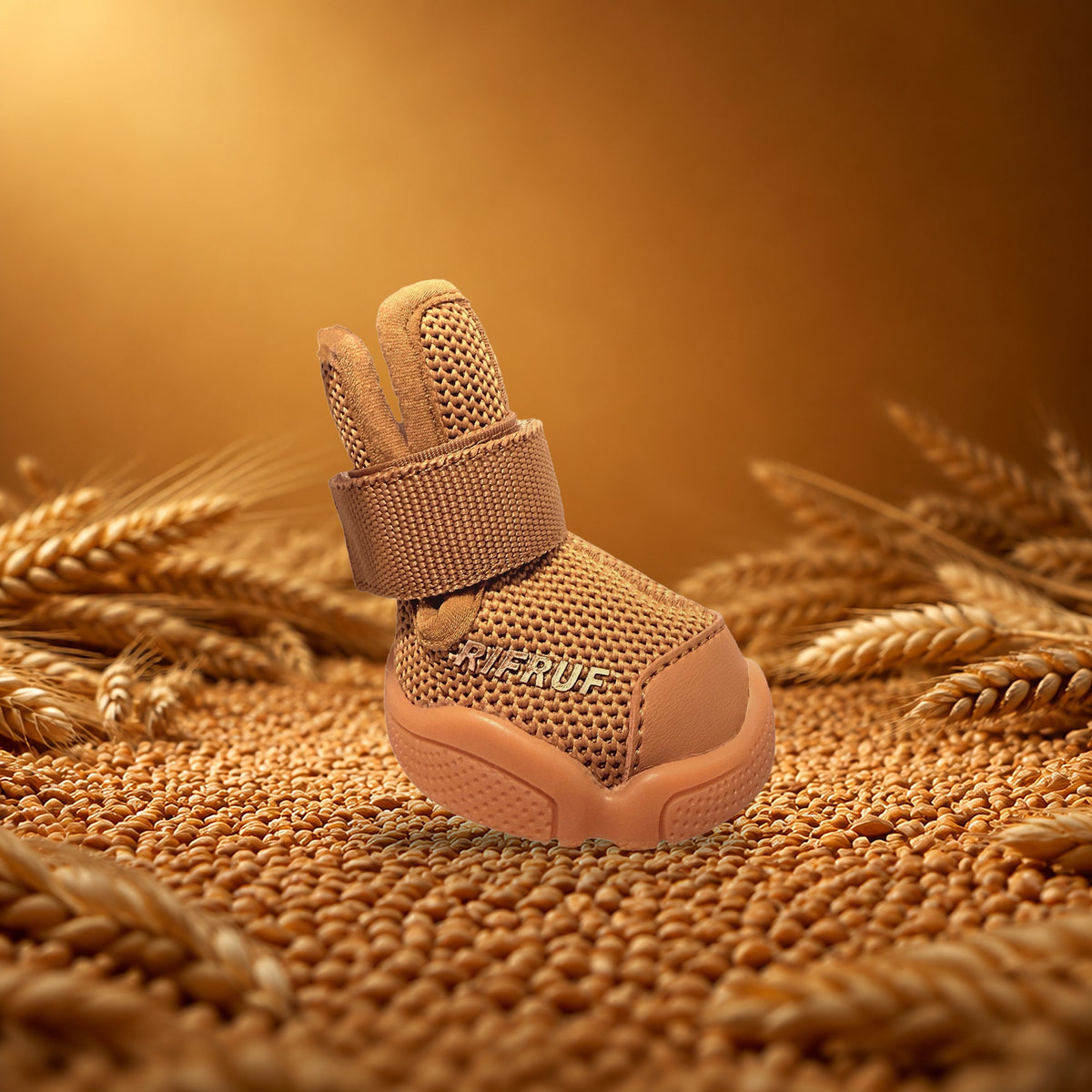 Wheat