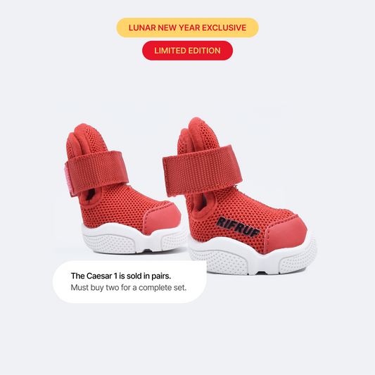 RIFRUF | Caesar 1 Dog Sneakers RIFRUF | Caesar 1 Dog Sneakers