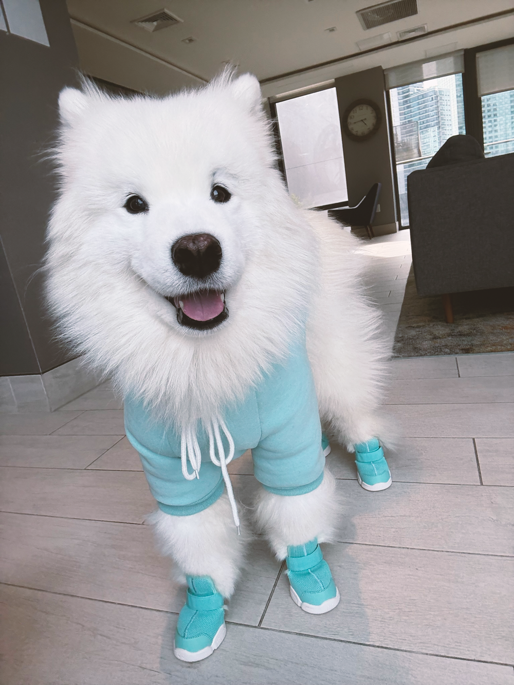 RIFRUF | Caesar 1 Dog Sneakers RIFRUF | Caesar 1 Dog Sneakers