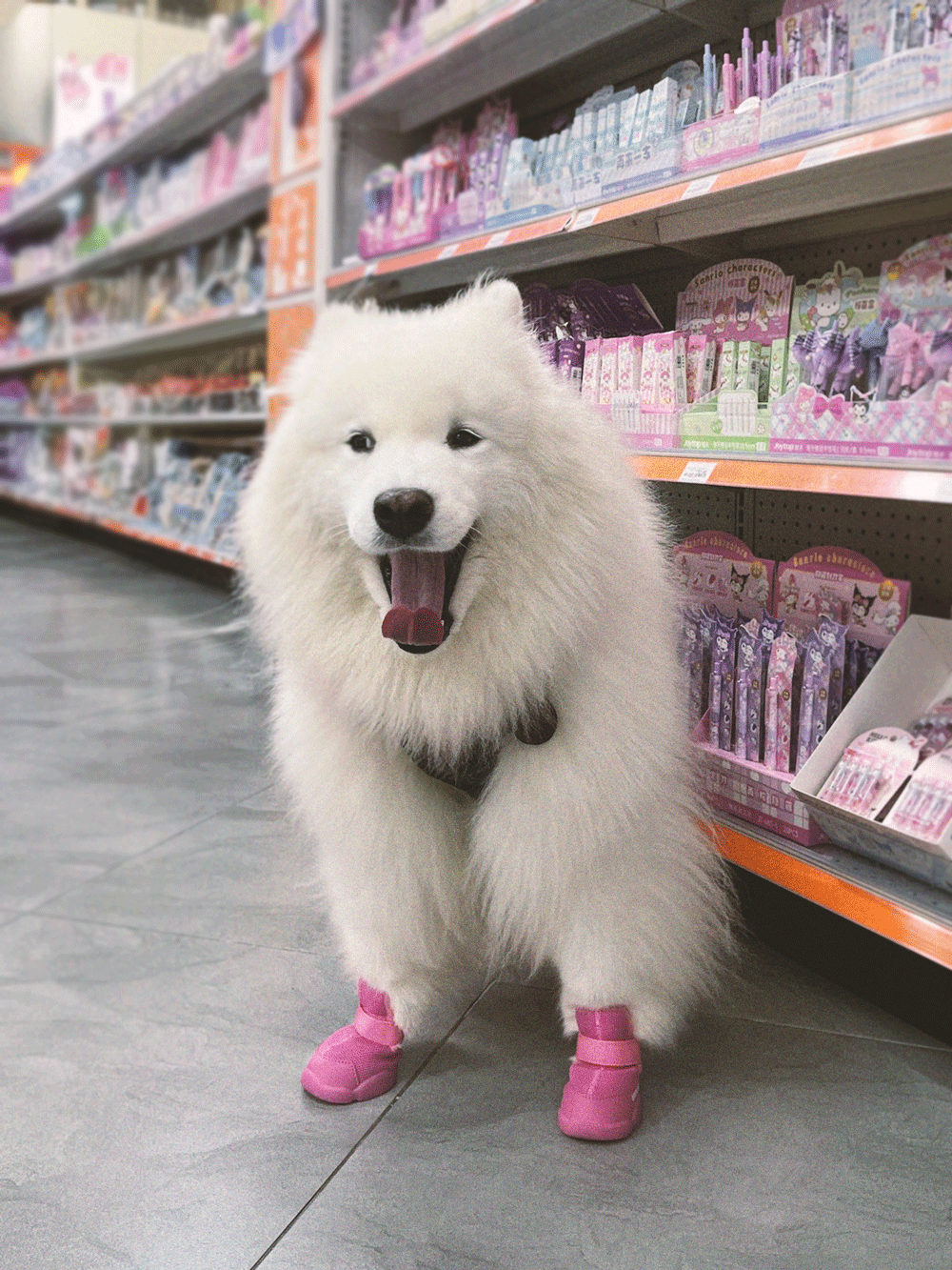 RIFRUF | Caesar 1 Dog Sneakers RIFRUF | Caesar 1 Dog Sneakers