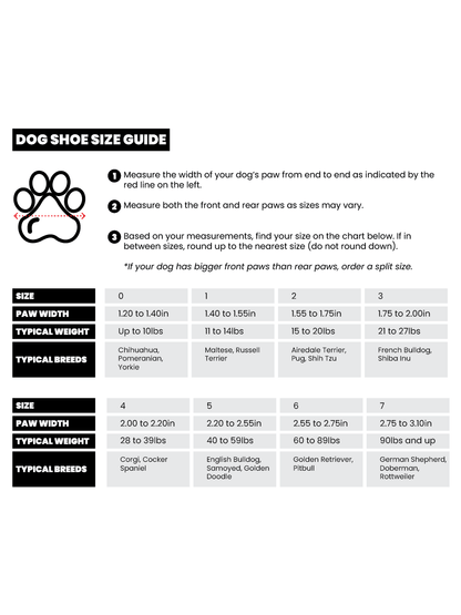 Caesar 1 Dog Sneakers in KK9R | RIFRUF Caesar 1 Dog Sneakers in KK9R | RIFRUF