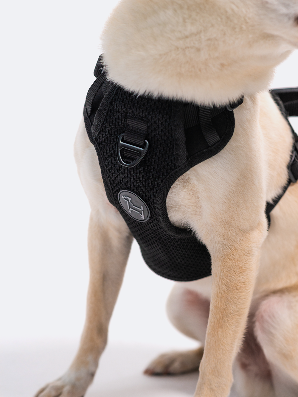 Commuter Harness
