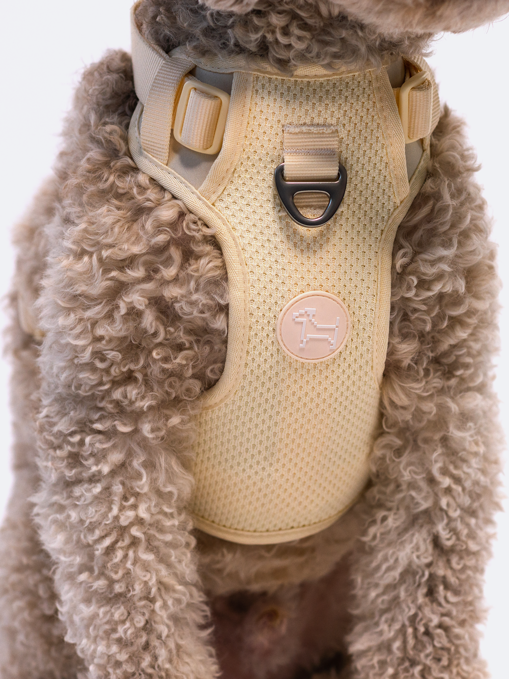 Commuter Harness
