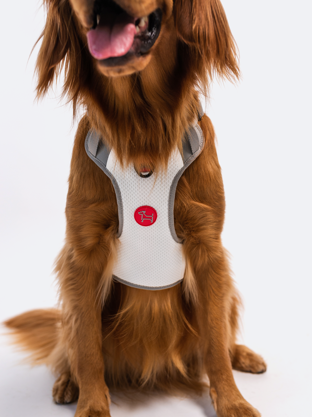 Commuter Harness