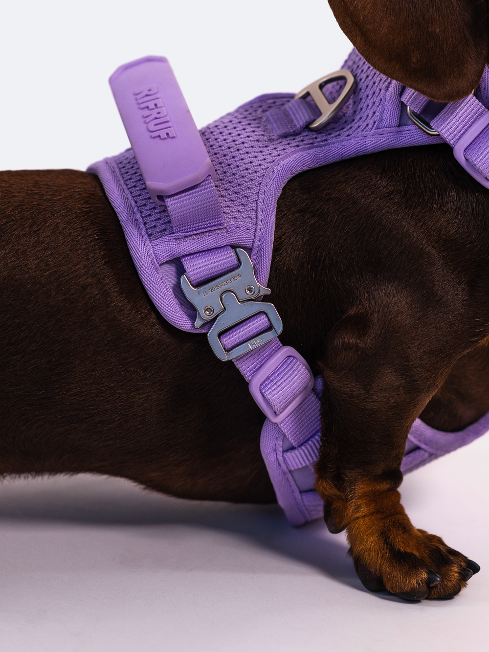 Commuter Harness