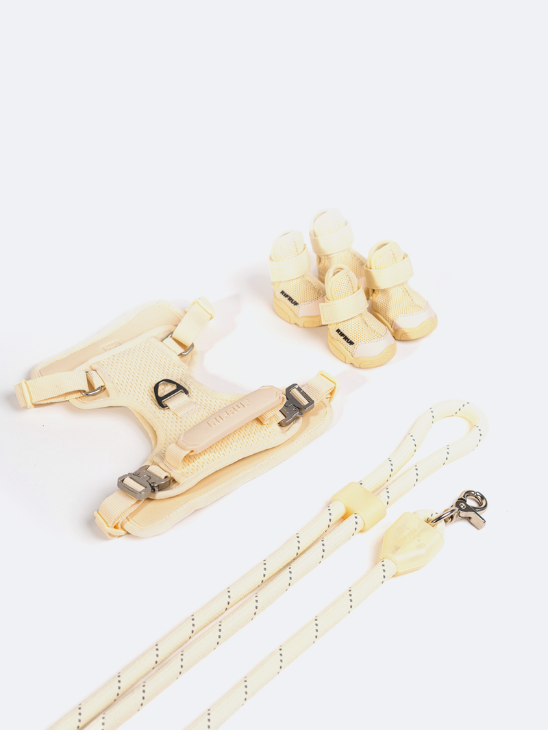 Commuter Sneaker, Harness and Leash Set Bone