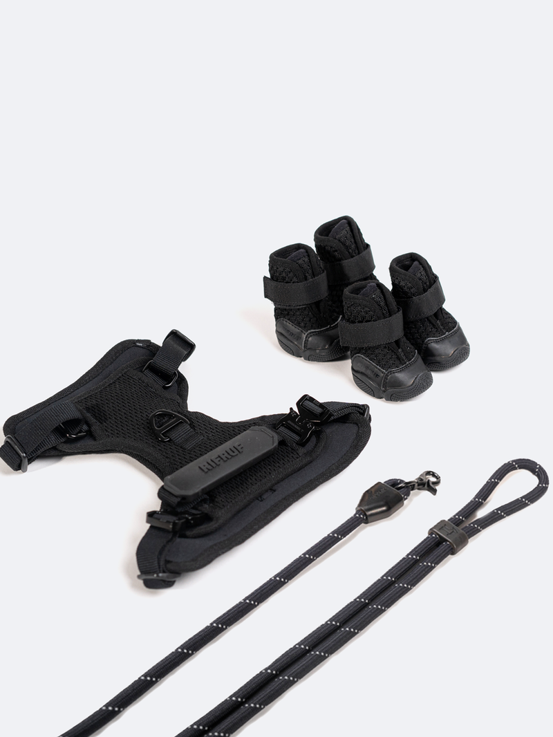Commuter Sneaker, Harness and Leash Set Midnight