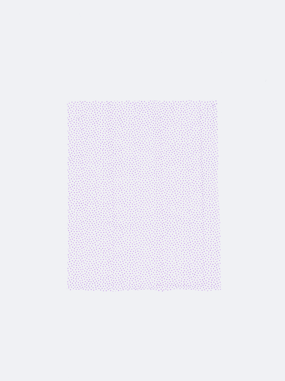 Dog Sneaker Wipes - 15 Pack