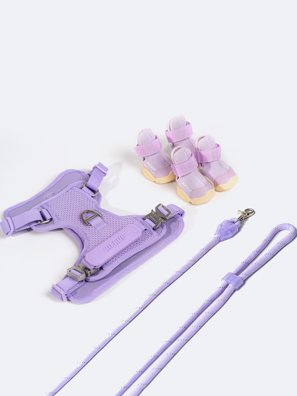 Commuter Dog Sneaker, Harness and Leash Set