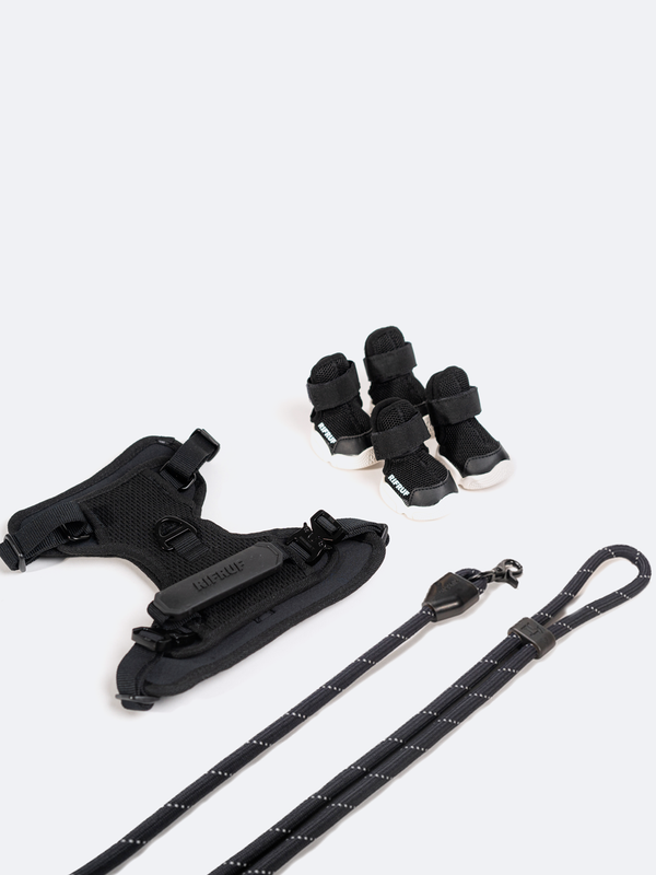 Commuter Sneaker, Harness and Leash Set