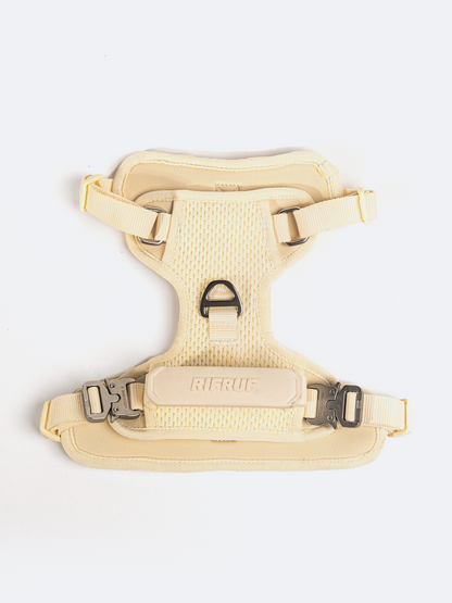 Commuter Sneaker, Harness and Leash Set