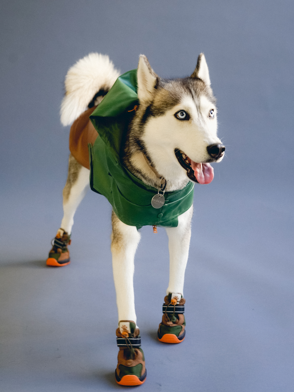 RIFRUF | Apollo 1 Dog Boots RIFRUF | Apollo 1 Dog Boots